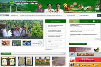 Website Disbun Kaltim Masuk Nominasi 5 Besar Nasional